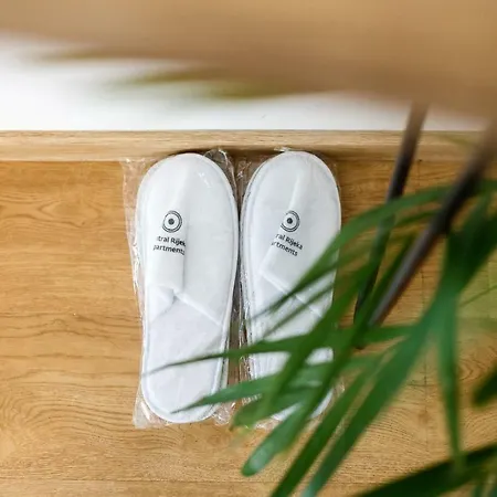 דירה Ciottina 24 רייקה